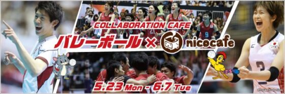 5/23(月)より「公益財団法人日本バレーボール協会」と「nicocafe」のコラボレーション企画を実施！